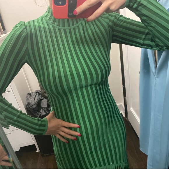 Ronny Kobo Adkins Knit Fringe Midi Dress - Picture 6 of 10